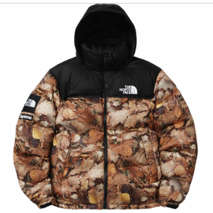 Supreme North Face Nuptse Leaves Jacket